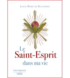 Le Saint-Esprit dans ma vie