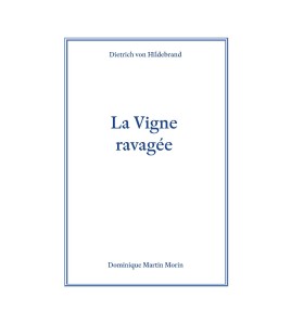 La vigne ravagée